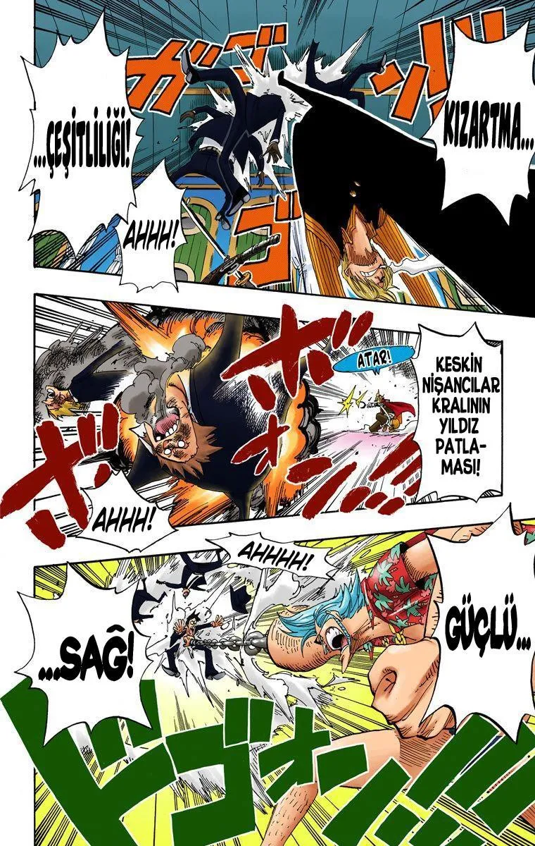 One Piece [Renkli] - Sayfa 15