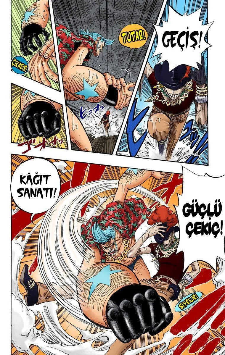 One Piece [Renkli] - Sayfa 17