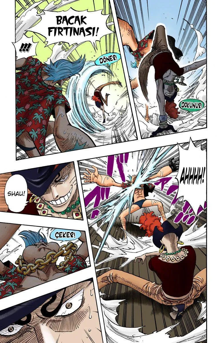 One Piece [Renkli] - Sayfa 18