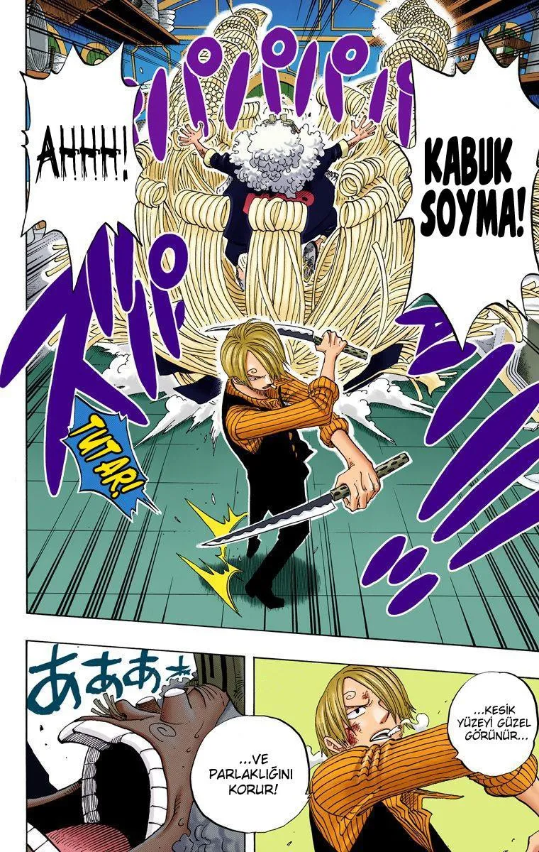 One Piece [Renkli] - Sayfa 13