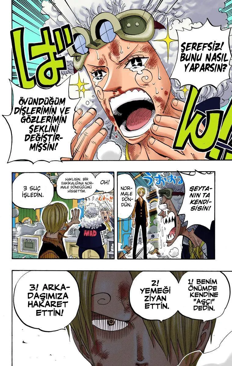 One Piece [Renkli] - Sayfa 17