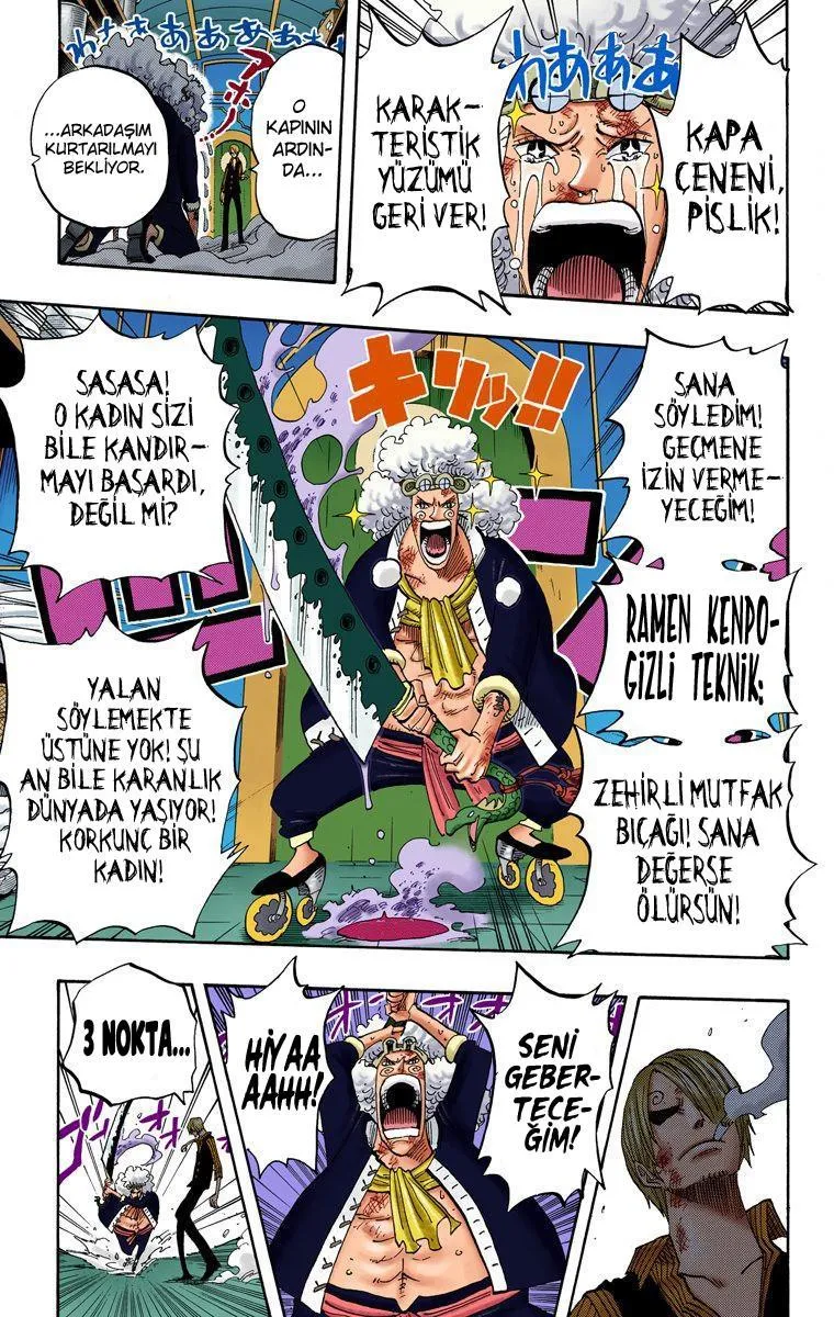 One Piece [Renkli] - Sayfa 18