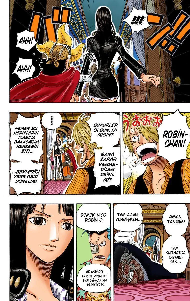 One Piece [Renkli] - Sayfa 15