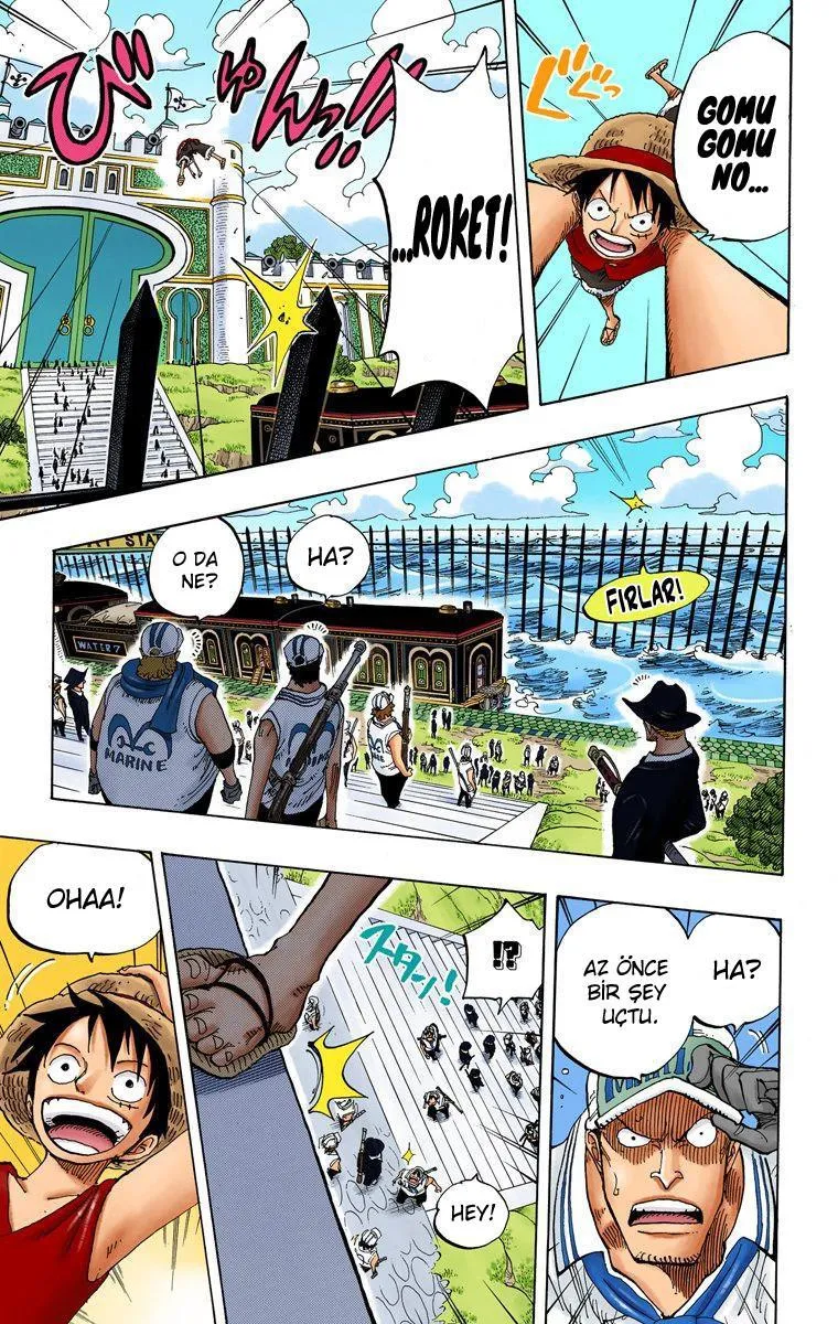 One Piece [Renkli] - Sayfa 13