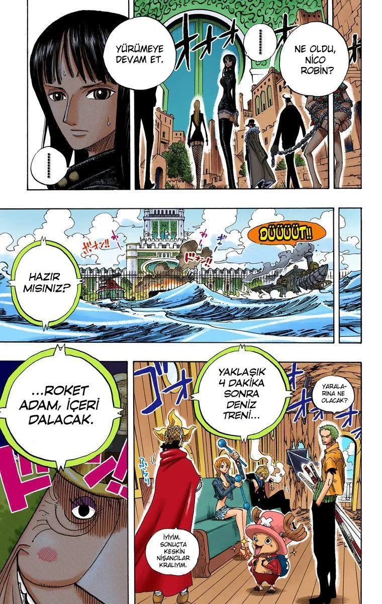 One Piece [Renkli] - Sayfa 19