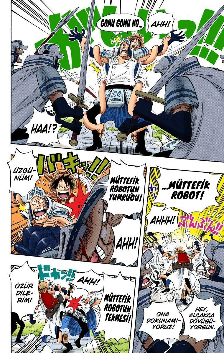 One Piece [Renkli] - Sayfa 4