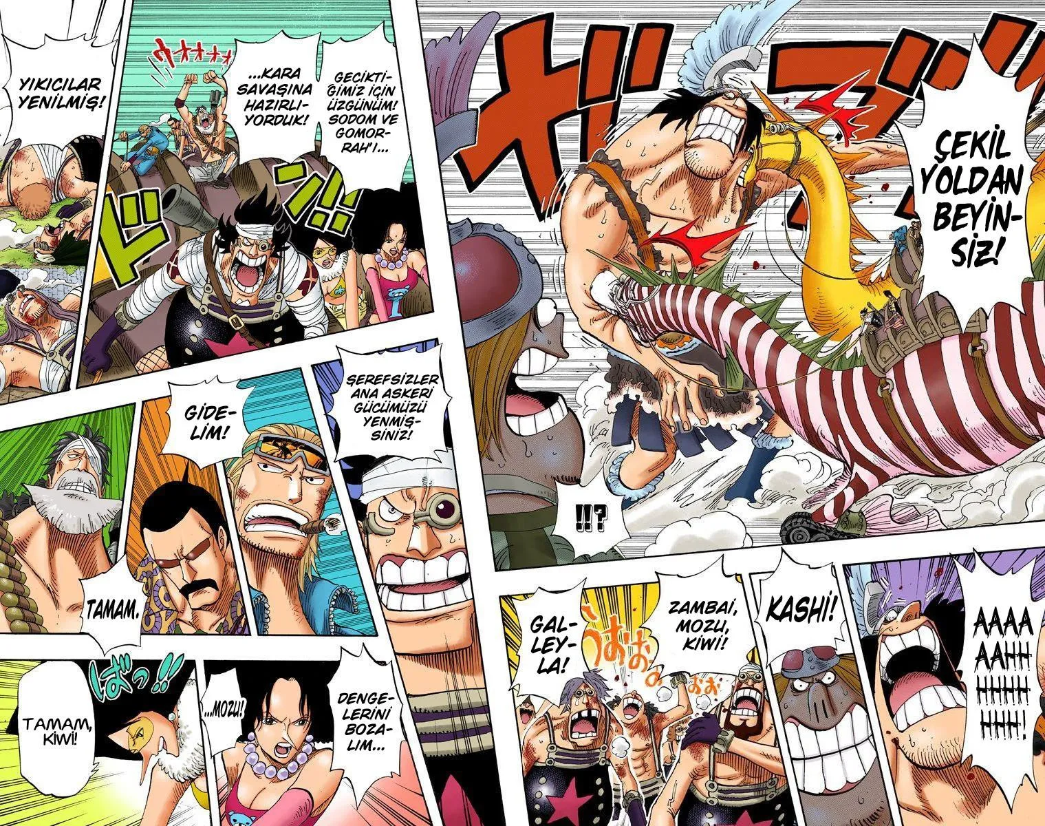 One Piece [Renkli] - Sayfa 8