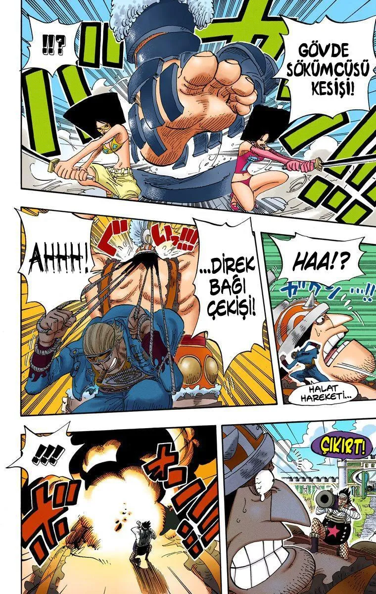 One Piece [Renkli] - Sayfa 9