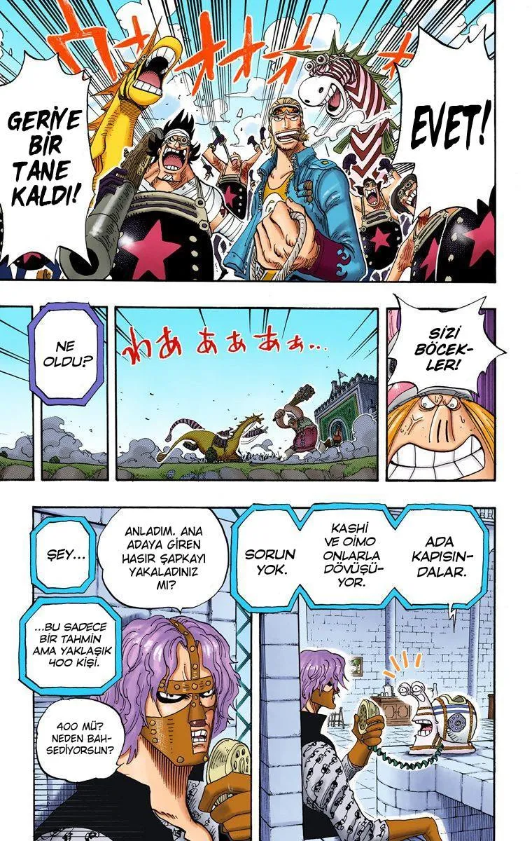 One Piece [Renkli] - Sayfa 12