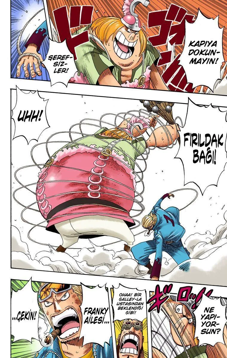 One Piece [Renkli] - Sayfa 5