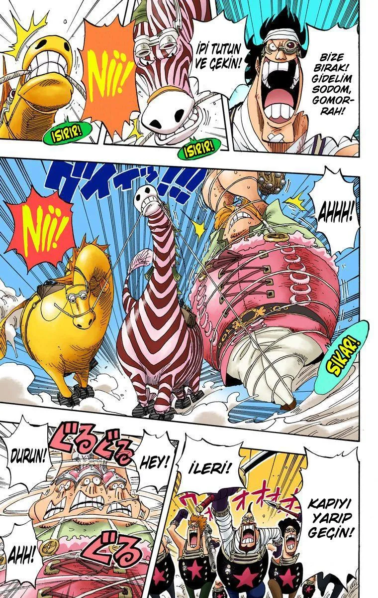 One Piece [Renkli] - Sayfa 6