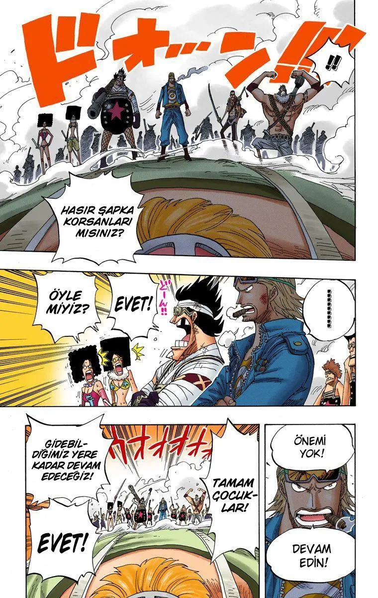 One Piece [Renkli] - Sayfa 13