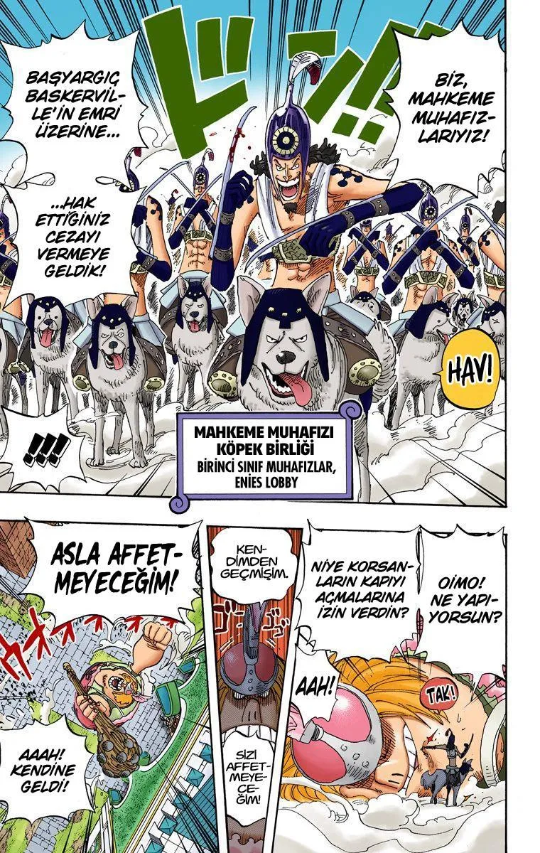 One Piece [Renkli] - Sayfa 15