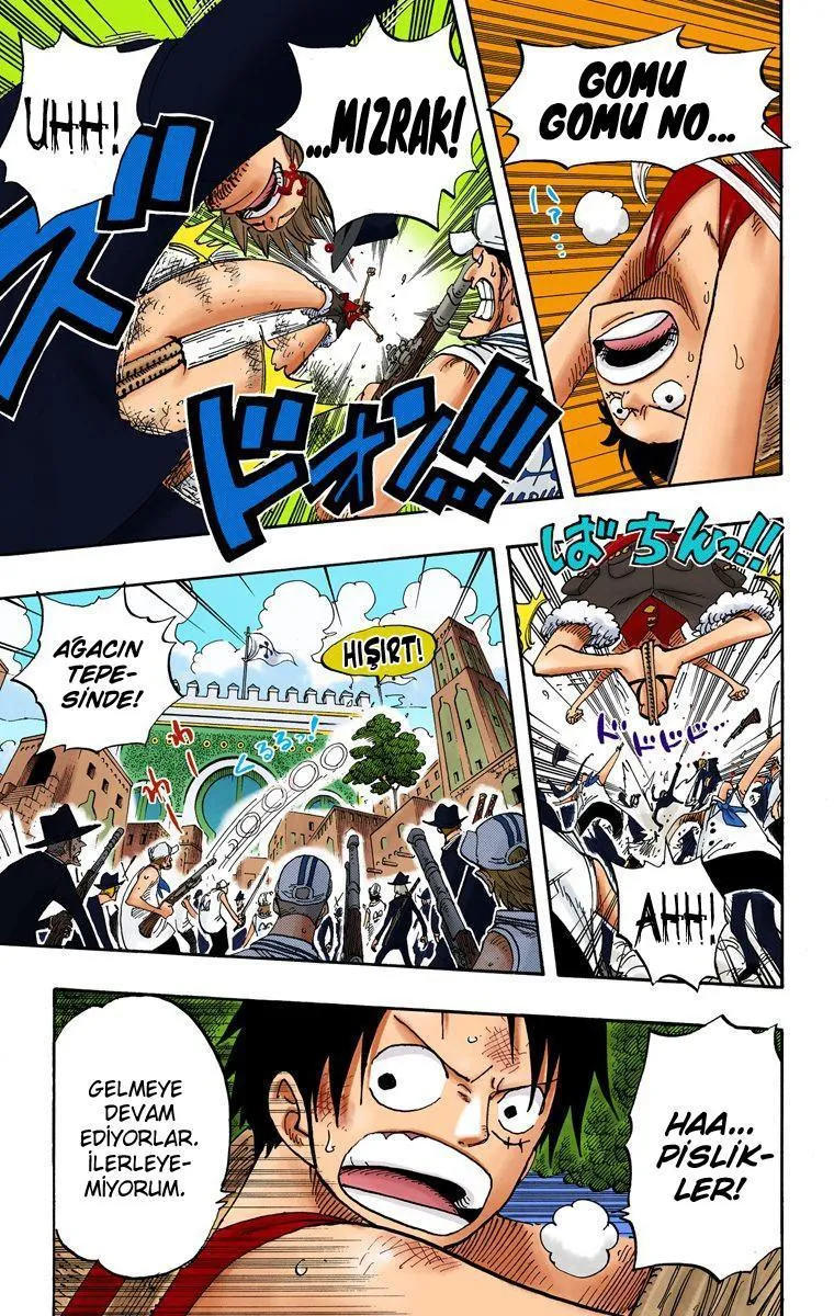 One Piece [Renkli] - Sayfa 12