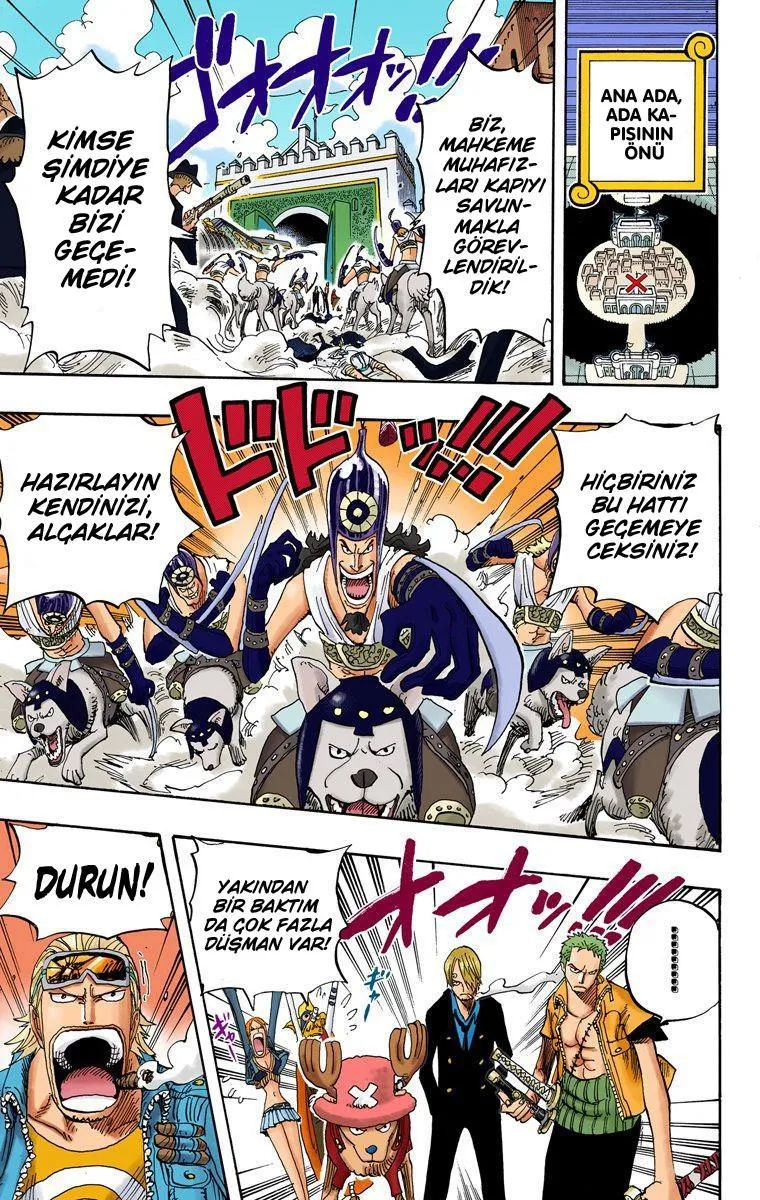 One Piece [Renkli] - Sayfa 14