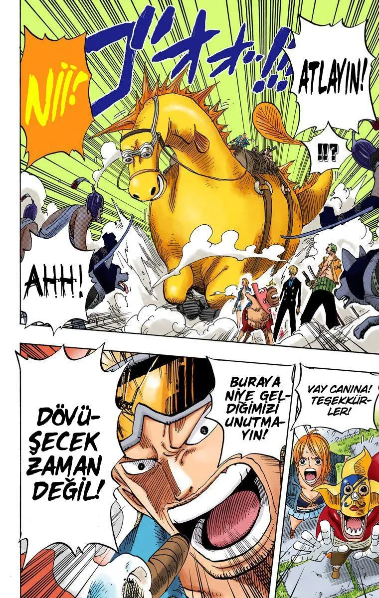 One Piece [Renkli] - Sayfa 15