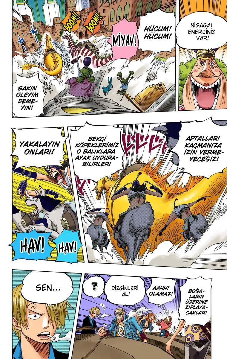 One Piece [Renkli] - Sayfa 17