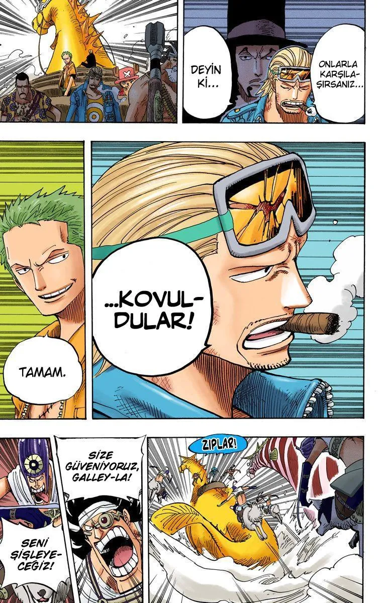 One Piece [Renkli] - Sayfa 18