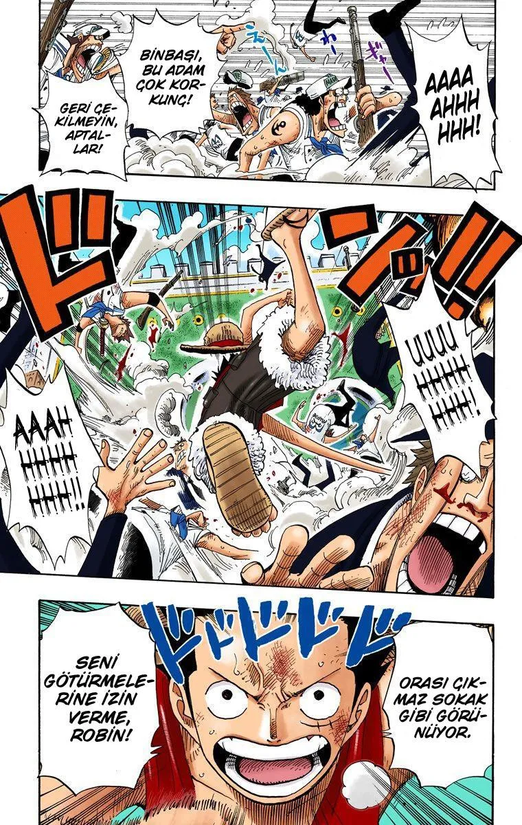 One Piece [Renkli] - Sayfa 14