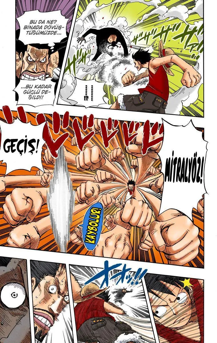 One Piece [Renkli] - Sayfa 13