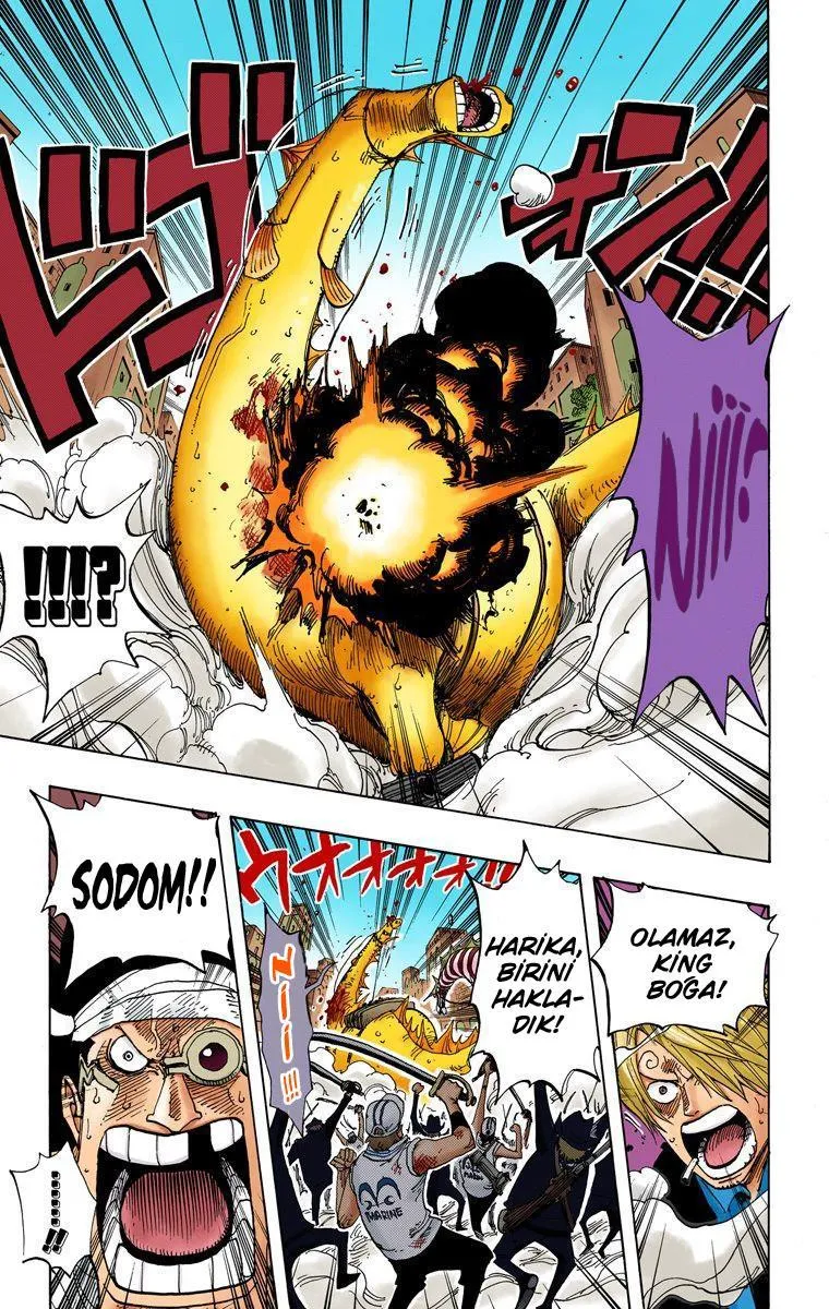 One Piece [Renkli] - Sayfa 16