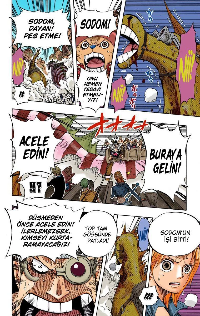 One Piece [Renkli] - Sayfa 17