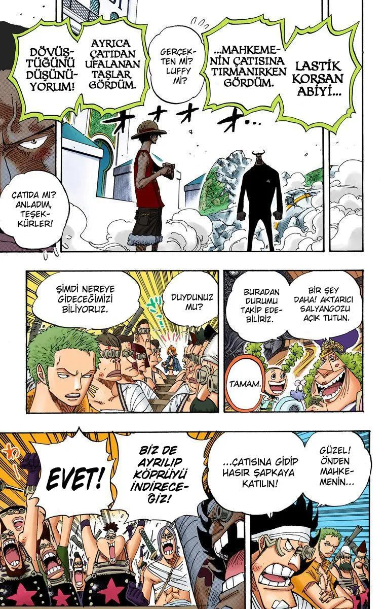 One Piece [Renkli] - Sayfa 14