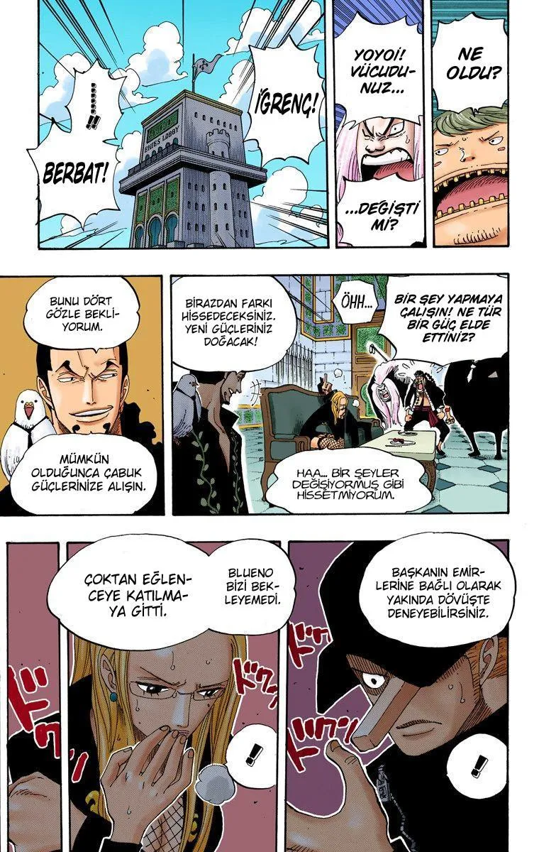 One Piece [Renkli] - Sayfa 8