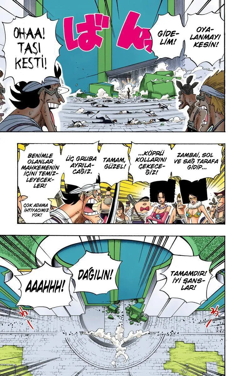 One Piece [Renkli] - Sayfa 13