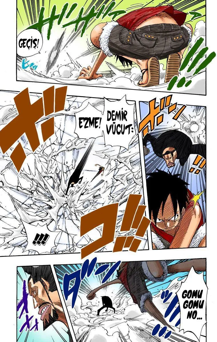 One Piece [Renkli] - Sayfa 14