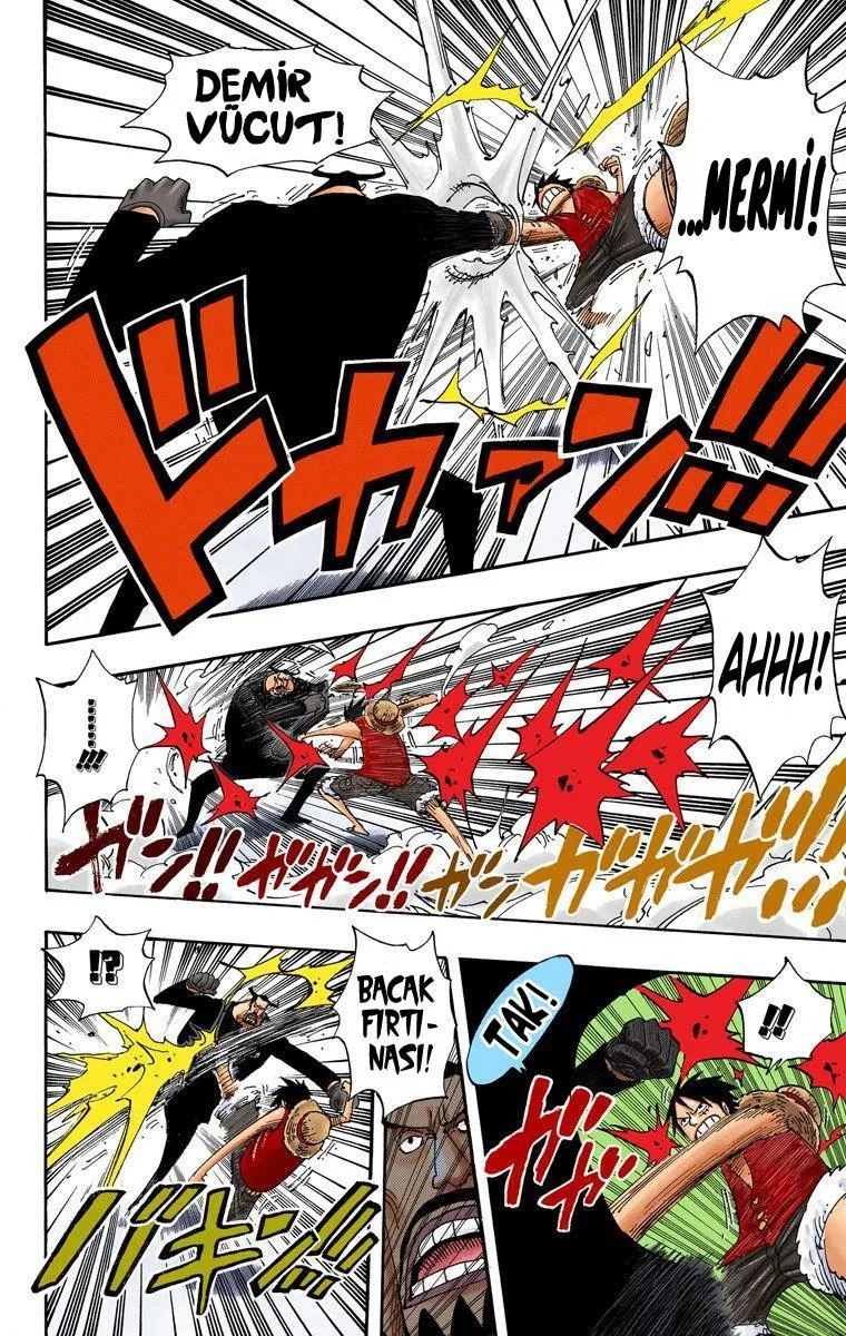 One Piece [Renkli] - Sayfa 15