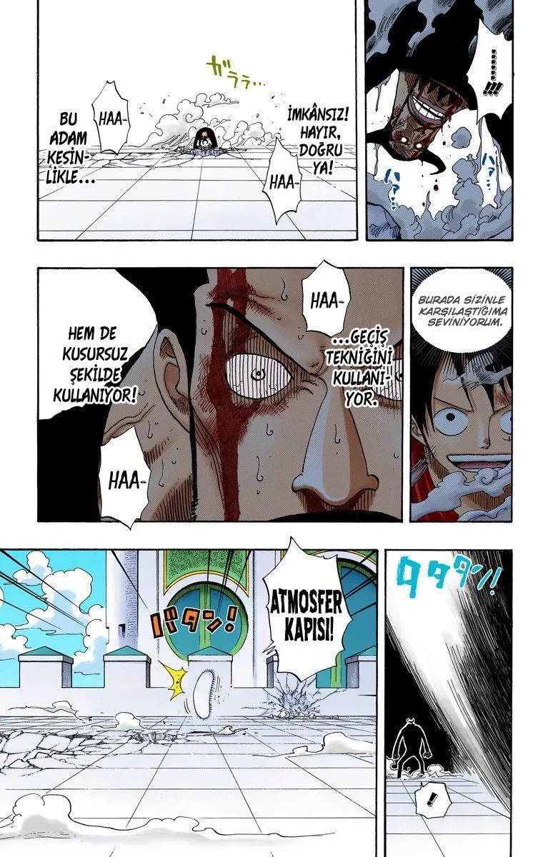 One Piece [Renkli] - Sayfa 7