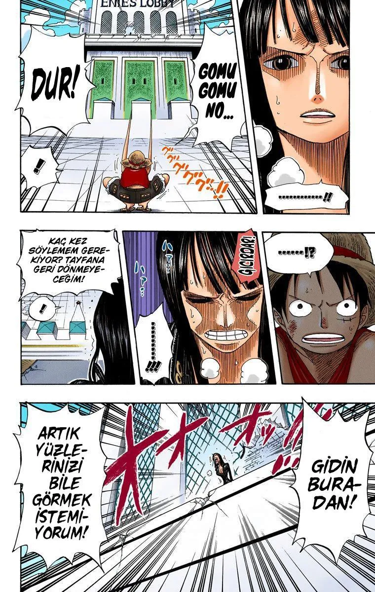 One Piece [Renkli] - Sayfa 14