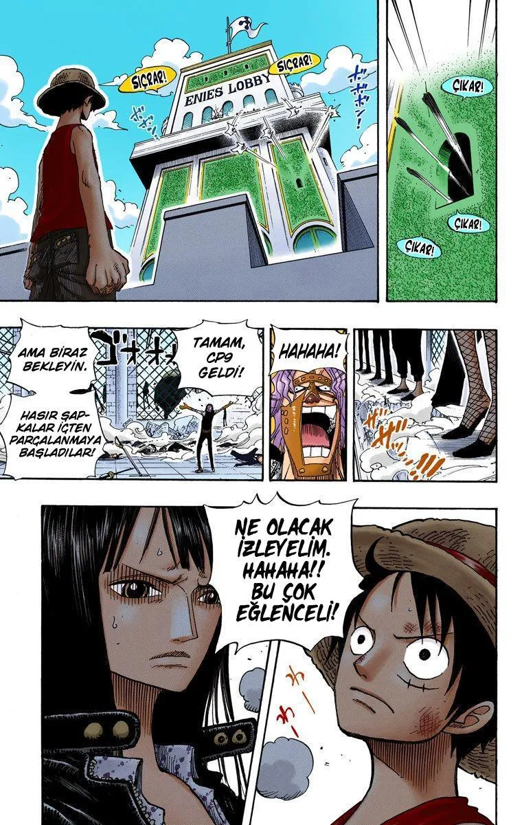 One Piece [Renkli] - Sayfa 17