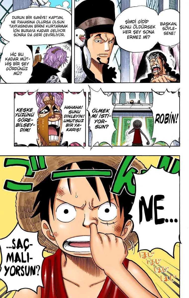 One Piece [Renkli] - Sayfa 13