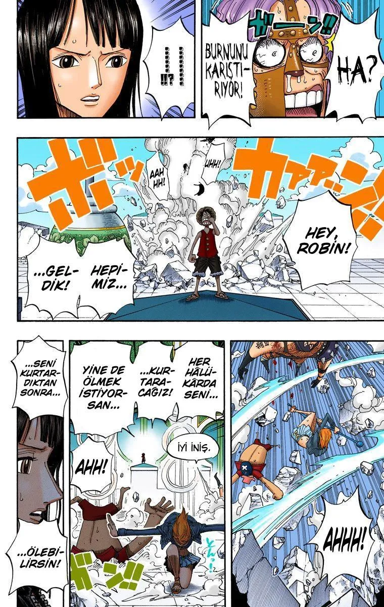 One Piece [Renkli] - Sayfa 14