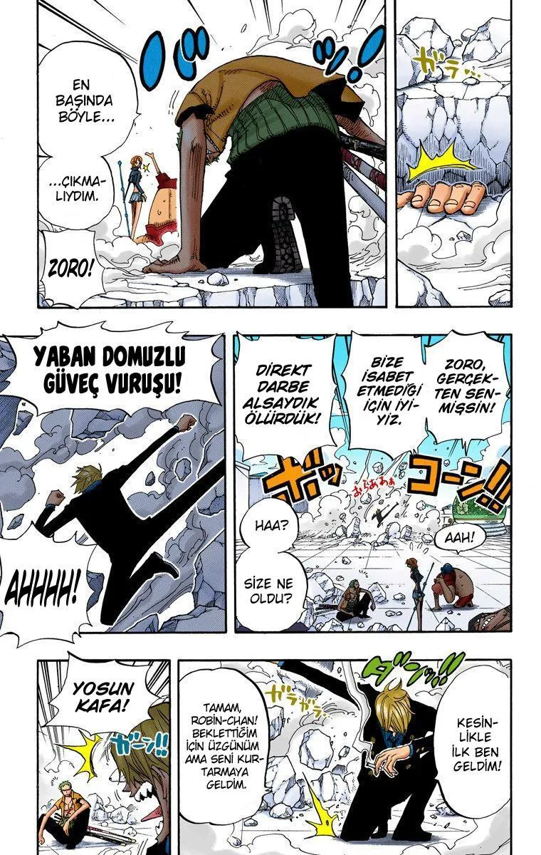 One Piece [Renkli] - Sayfa 15