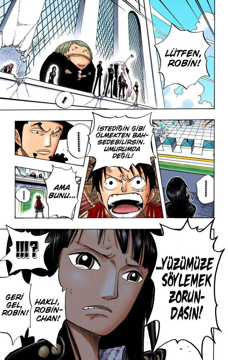 One Piece [Renkli] - Sayfa 17