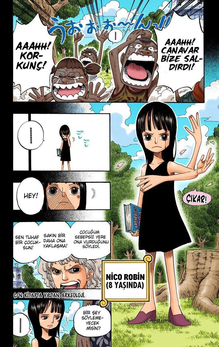 One Piece [Renkli] - Sayfa 14