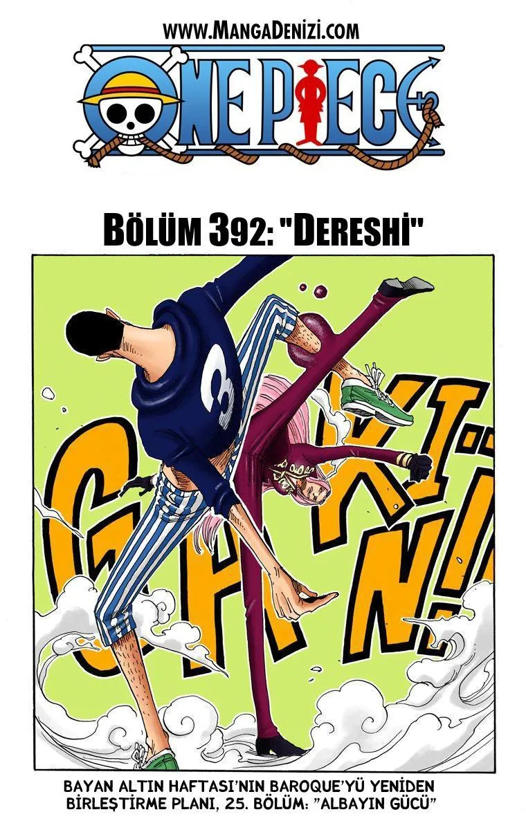 One Piece [Renkli] - Sayfa 2