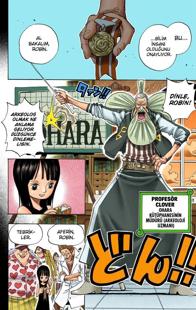 One Piece [Renkli] - Sayfa 3