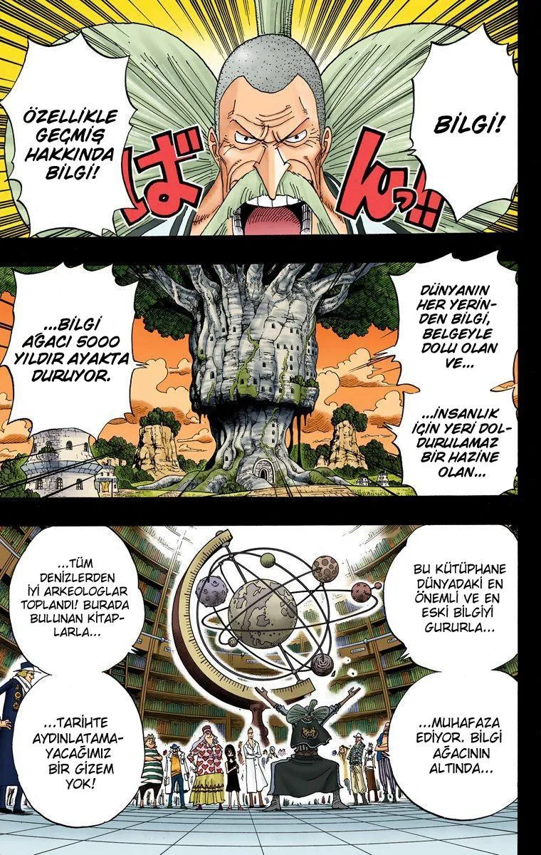 One Piece [Renkli] - Sayfa 4