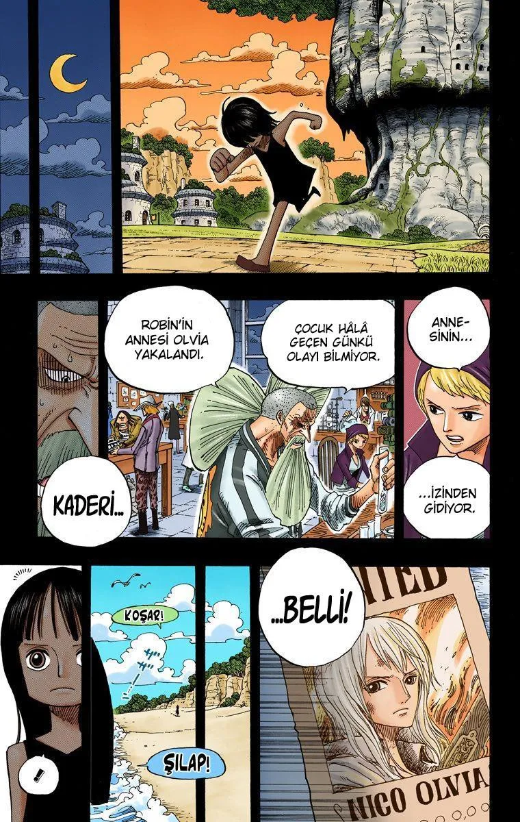 One Piece [Renkli] - Sayfa 8