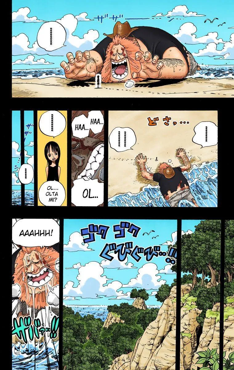 One Piece [Renkli] - Sayfa 11