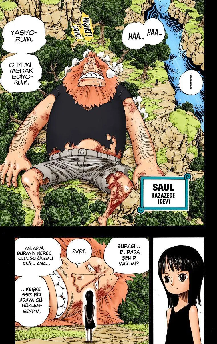 One Piece [Renkli] - Sayfa 12