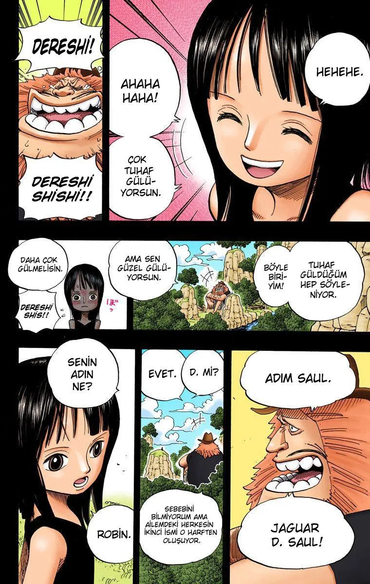 One Piece [Renkli] - Sayfa 15