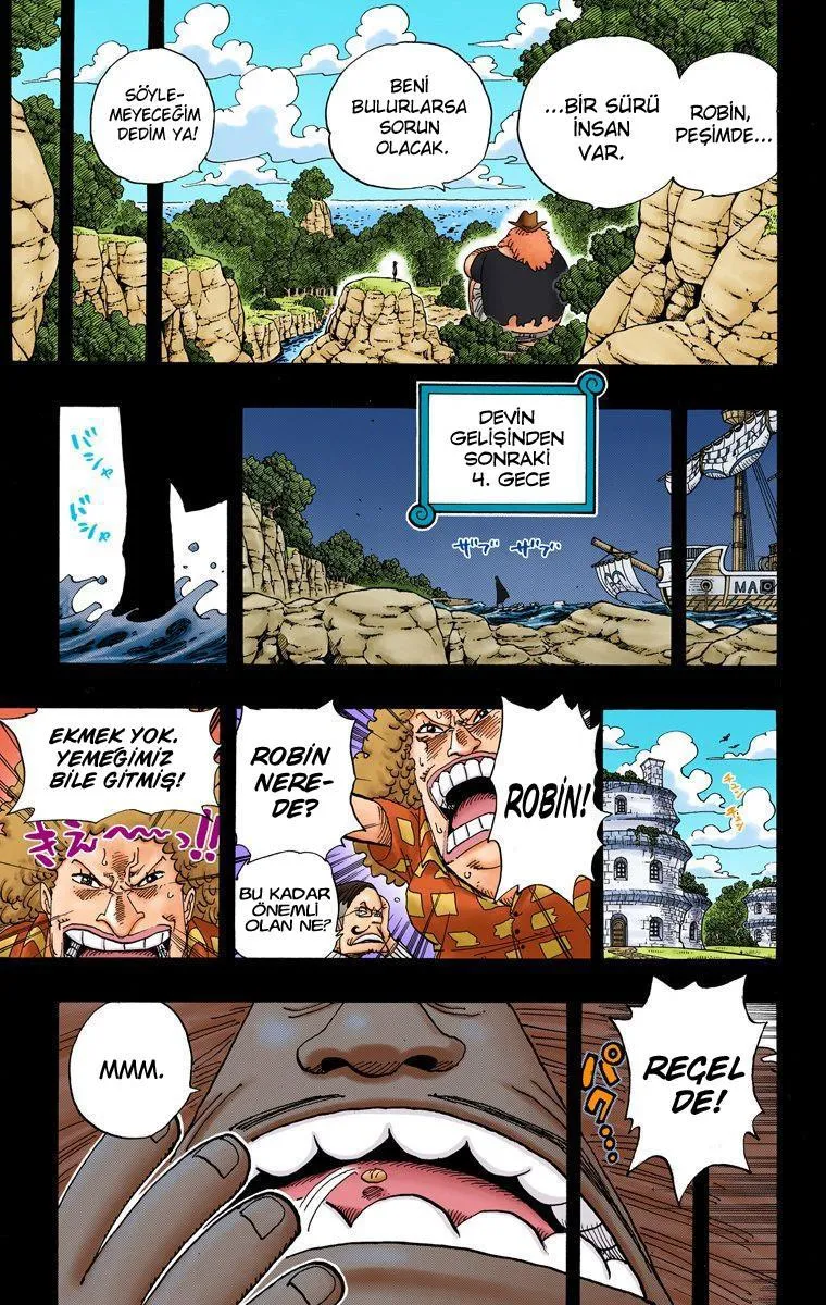 One Piece [Renkli] - Sayfa 16