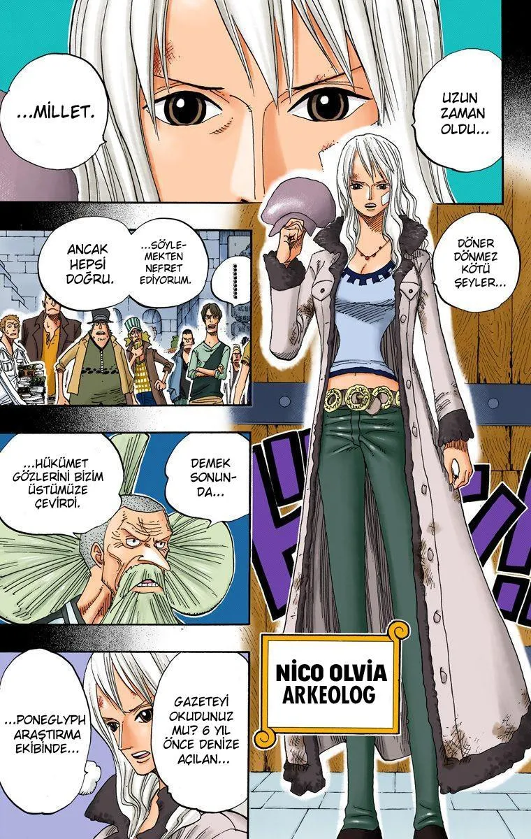One Piece [Renkli] - Sayfa 10