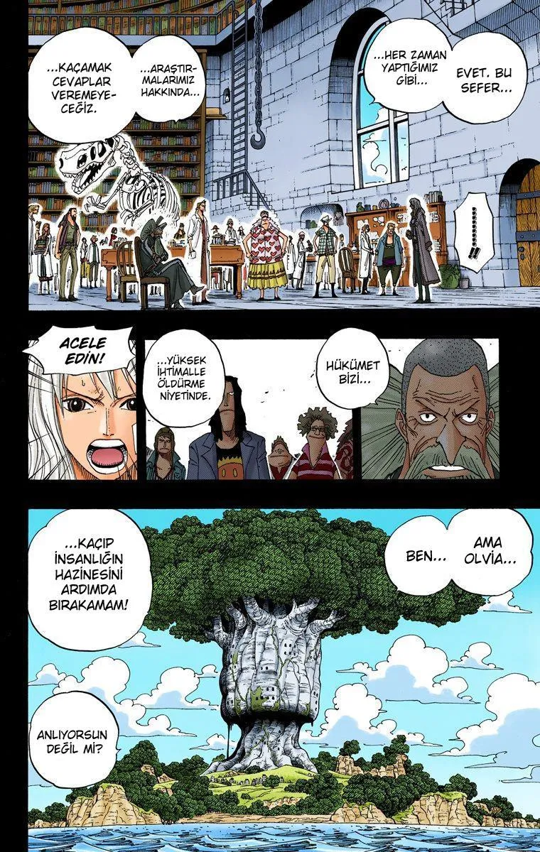 One Piece [Renkli] - Sayfa 13