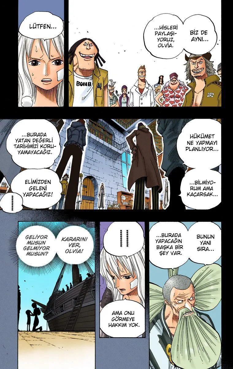 One Piece [Renkli] - Sayfa 14